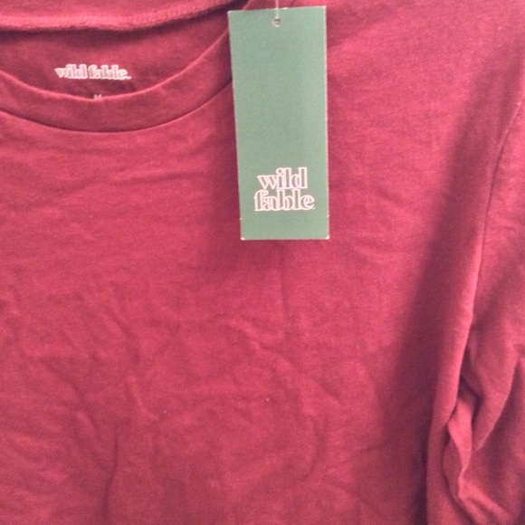 Long Sleeved Burgundy Cropped Tee by Wild Fable - Picture 3 of 3